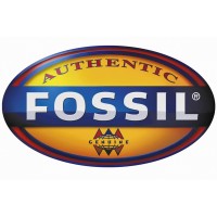 Fossil (2)