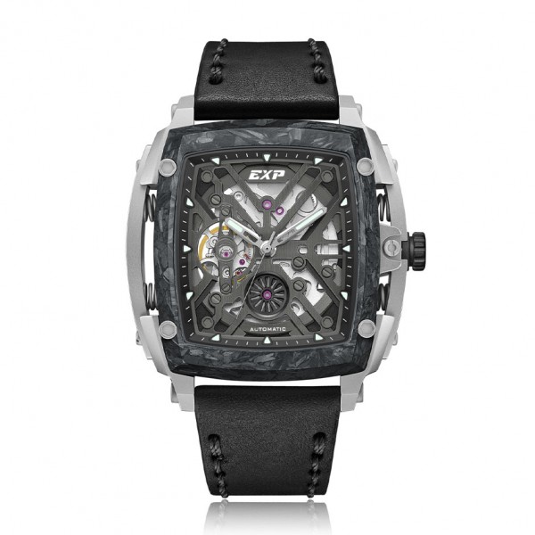 Expedition 3008 Silver Grey Automatic Titanium Carbon Bezel Limited Edition MALTEPBA