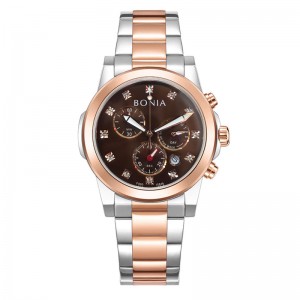 Bonia B10846-2647S Silver Rosegold Brown Steel