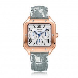 Alexandre Christie AC 2B18 Rosegold Grey BFLRGSLGR Santos