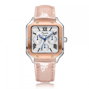 Alexandre Christie AC 2B18 Silver Rosegold Pink BFLRGSLPN Santos