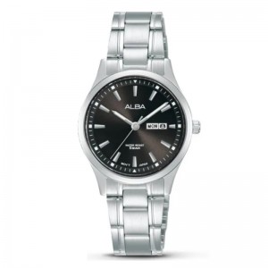 Alba AN8049 Silver Brown Steel Lady AN8049X1