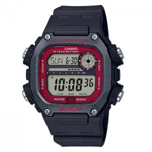 CASIO DW-291H-1BVDF General